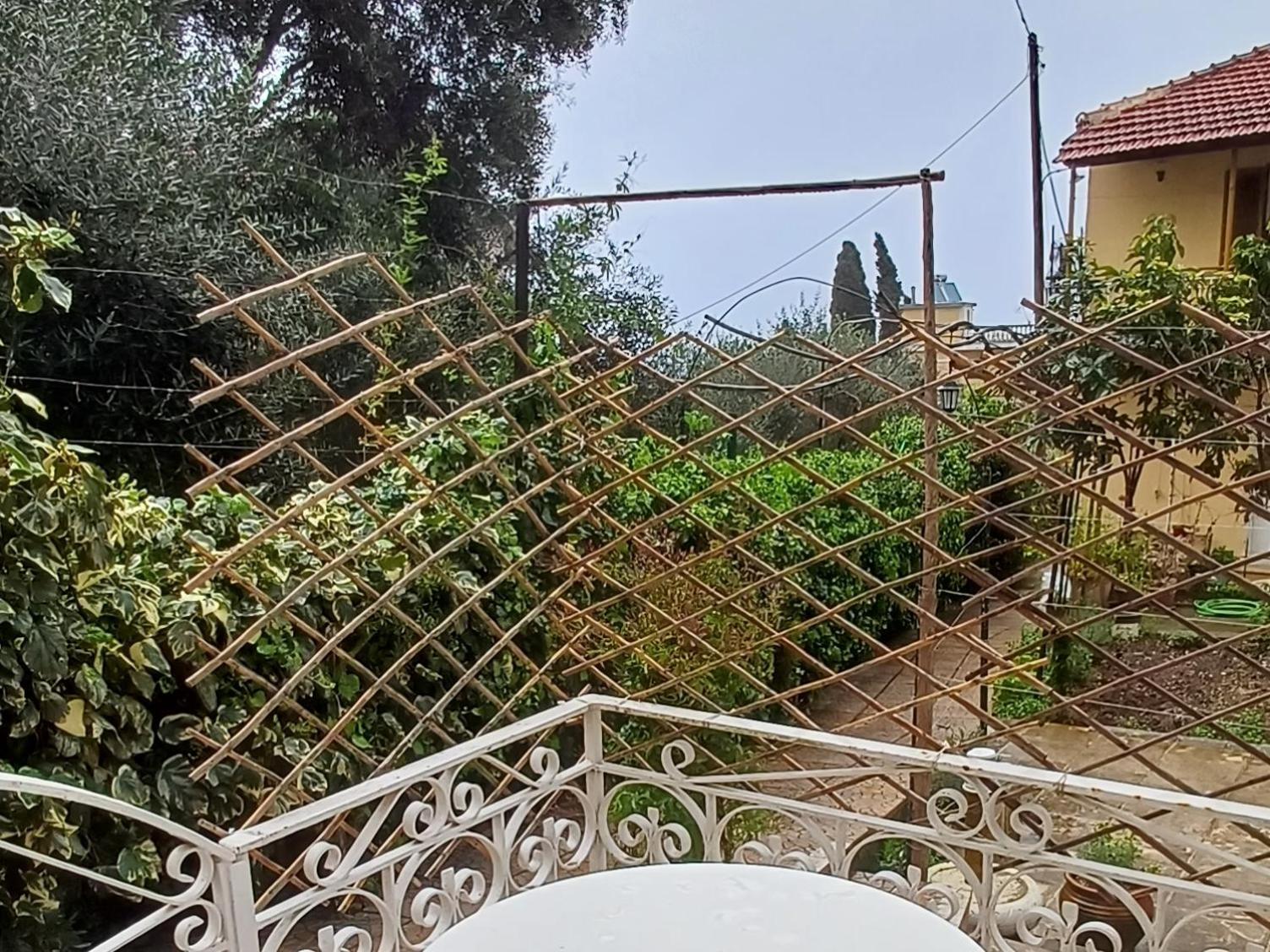 Flora Corfu - Adults Only * Benitses (Corfu)